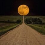 The Power of Dreaming