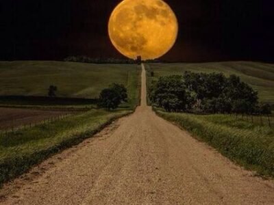 The Power of Dreaming