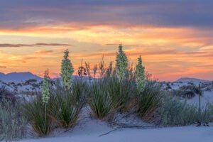 beautiful-things-in-life-image (1)